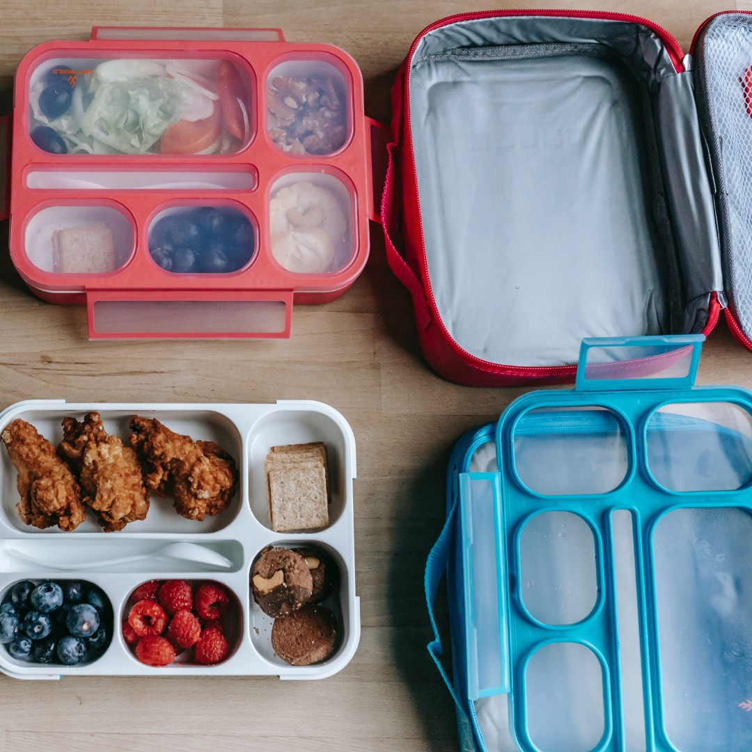 Pink and Blue reusable Lunch boxes